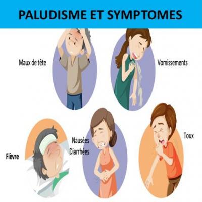Paludisme 6